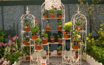 Hillview Hardy Plants