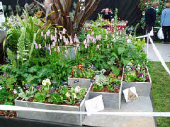 Hillview Hardy Plants