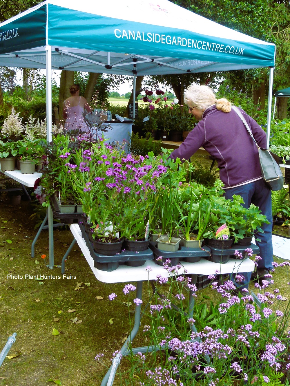 display of plants by Canalside Garden Centre