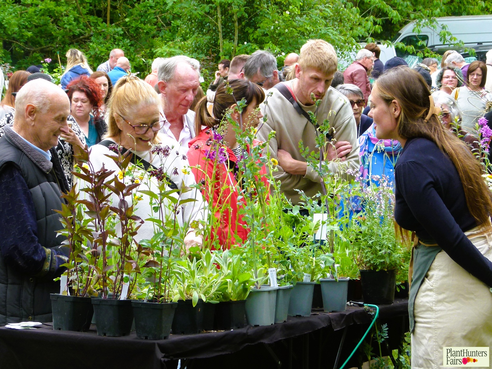 flowery late spring plant stall with smiling customers