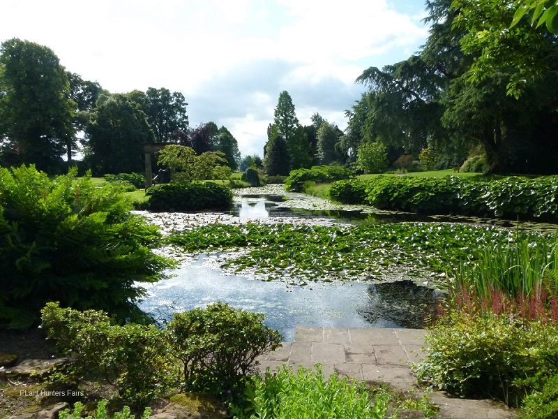 Cholmondeley Castle Plant Fair