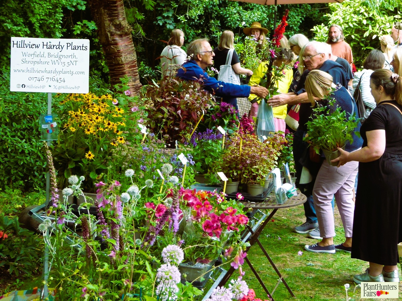 Flowery plant stall with customers browsing