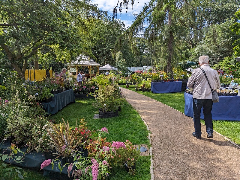 Tree-linged Palace Garden at Southwell with plant stalls